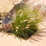 Apart-hotel Roots Nature Living Milos