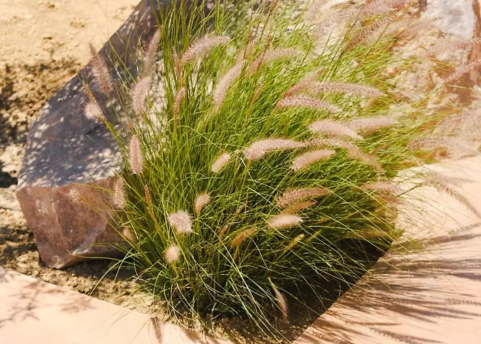 Apart-hotel Roots Nature Living Milos