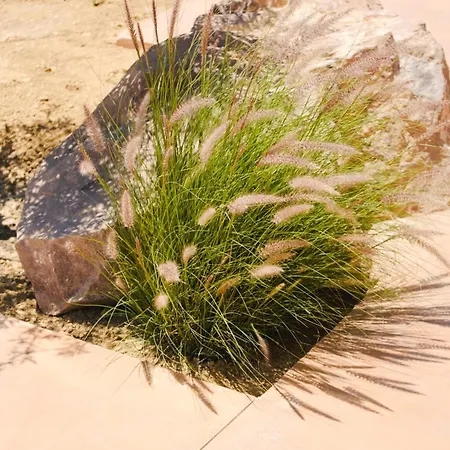 公寓式酒店 Roots Nature Living Milos